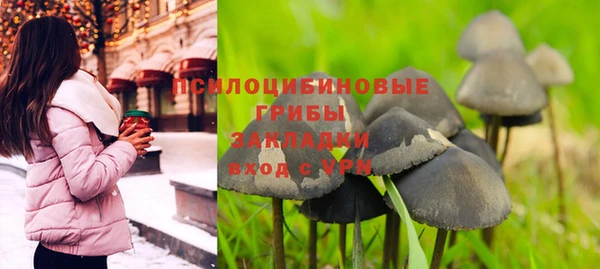 ALPHA PVP Алзамай